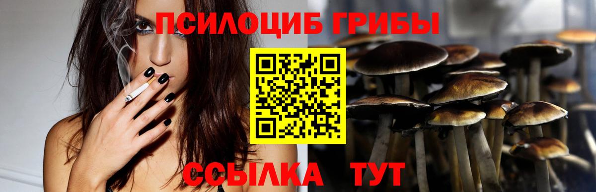 Псилоцибиновые грибы мухоморы  Галлюциногенные грибы ЛСД  Вход с VPN  Нурлат 